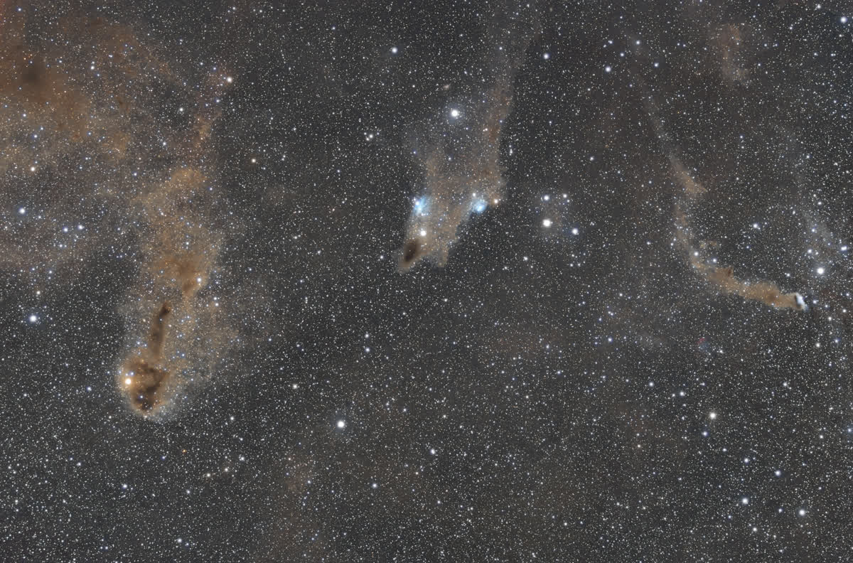 Nebulosa del Tiburón